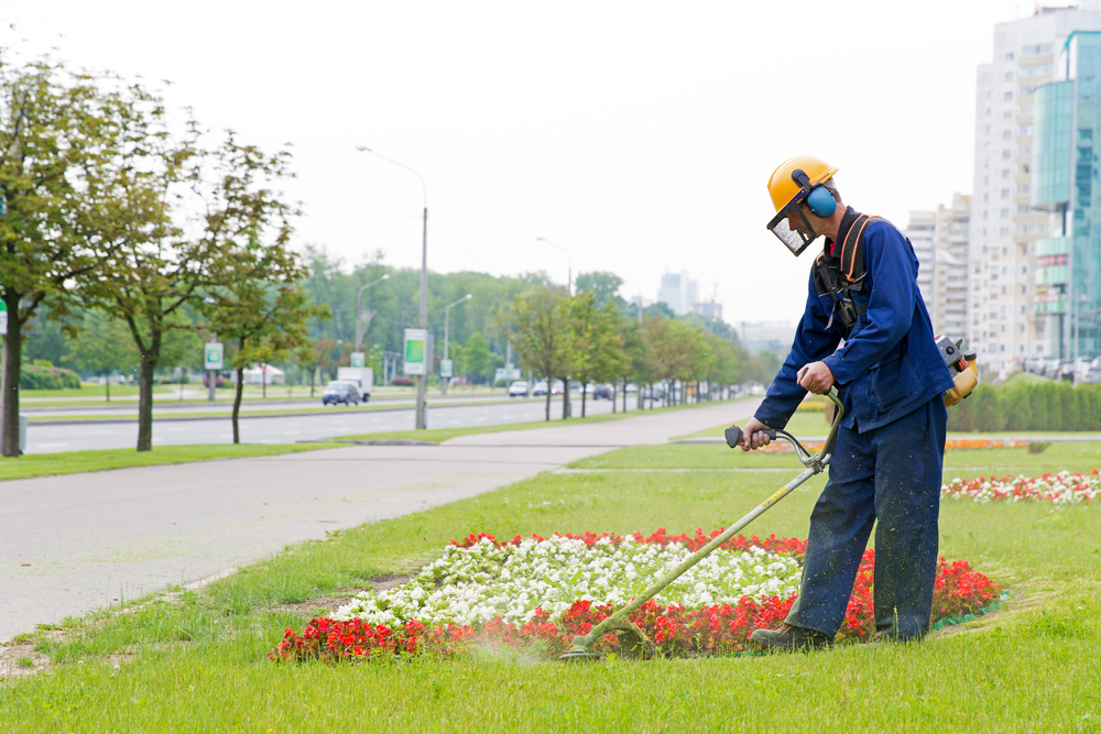 L'entretien des parcs et jardins par les entreprises de nettoyage